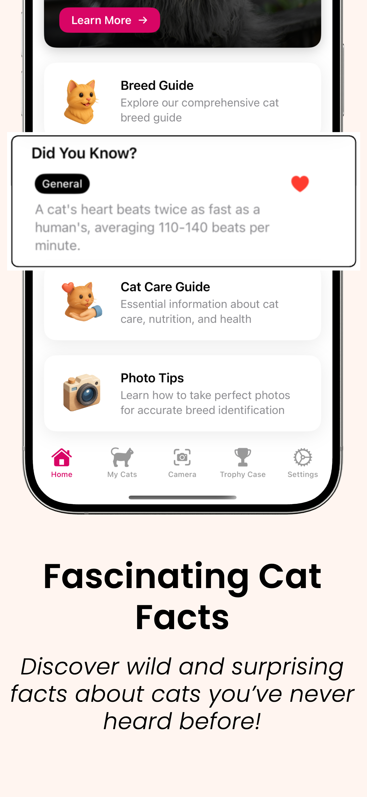 Cat Breed Identifier: Catastic