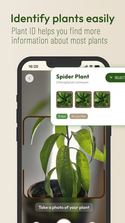 Planti: Plant Care