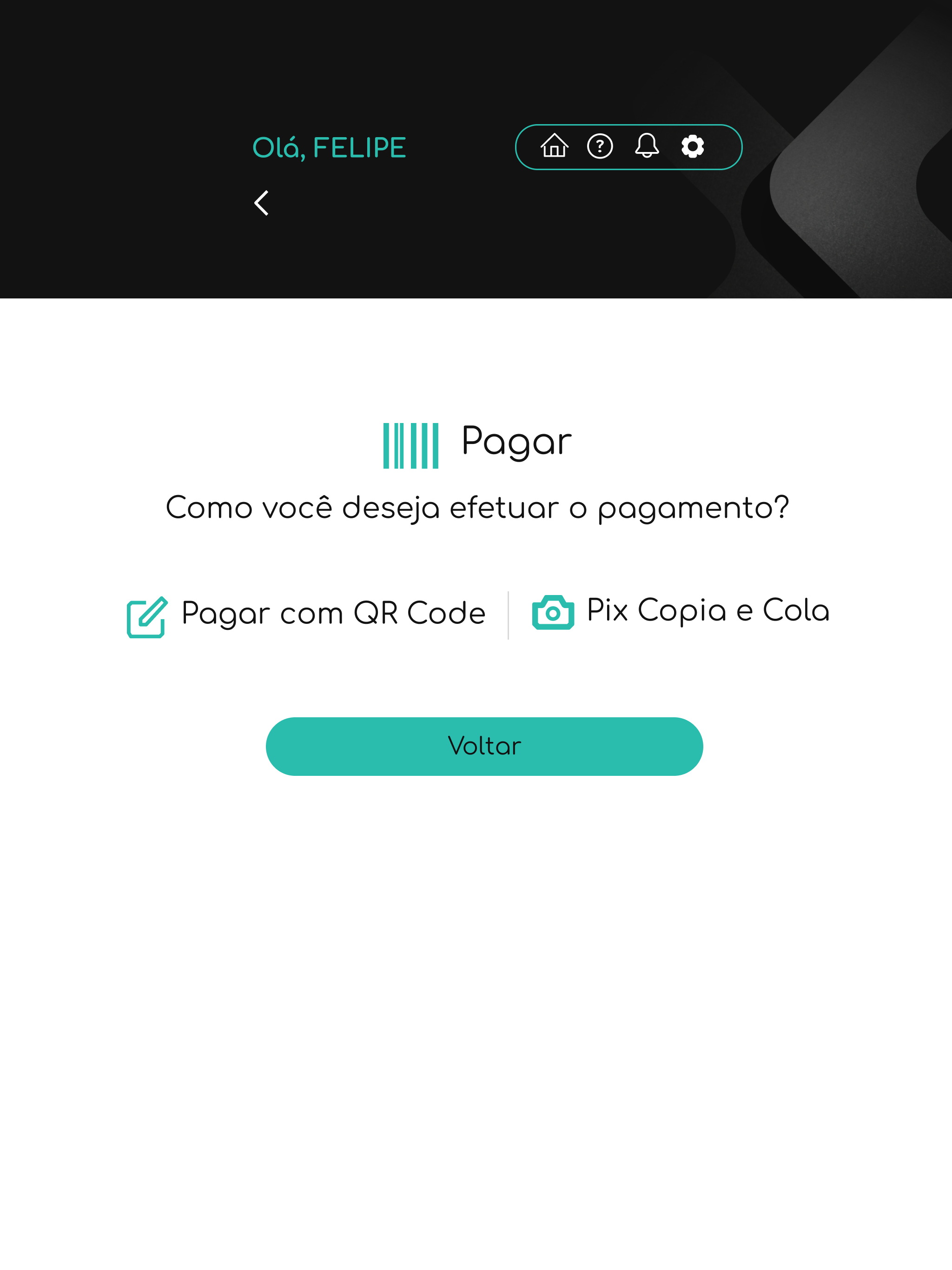 PayX Incentive