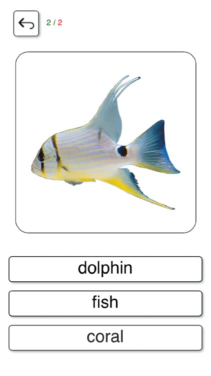 Learn and play English +