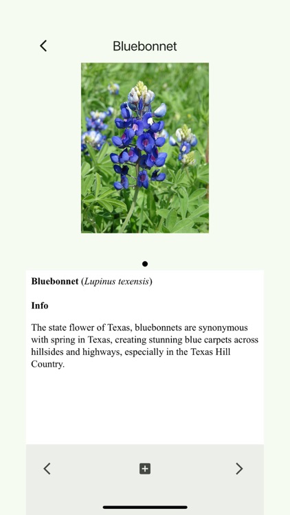 Wildlife of Texas screenshot-6