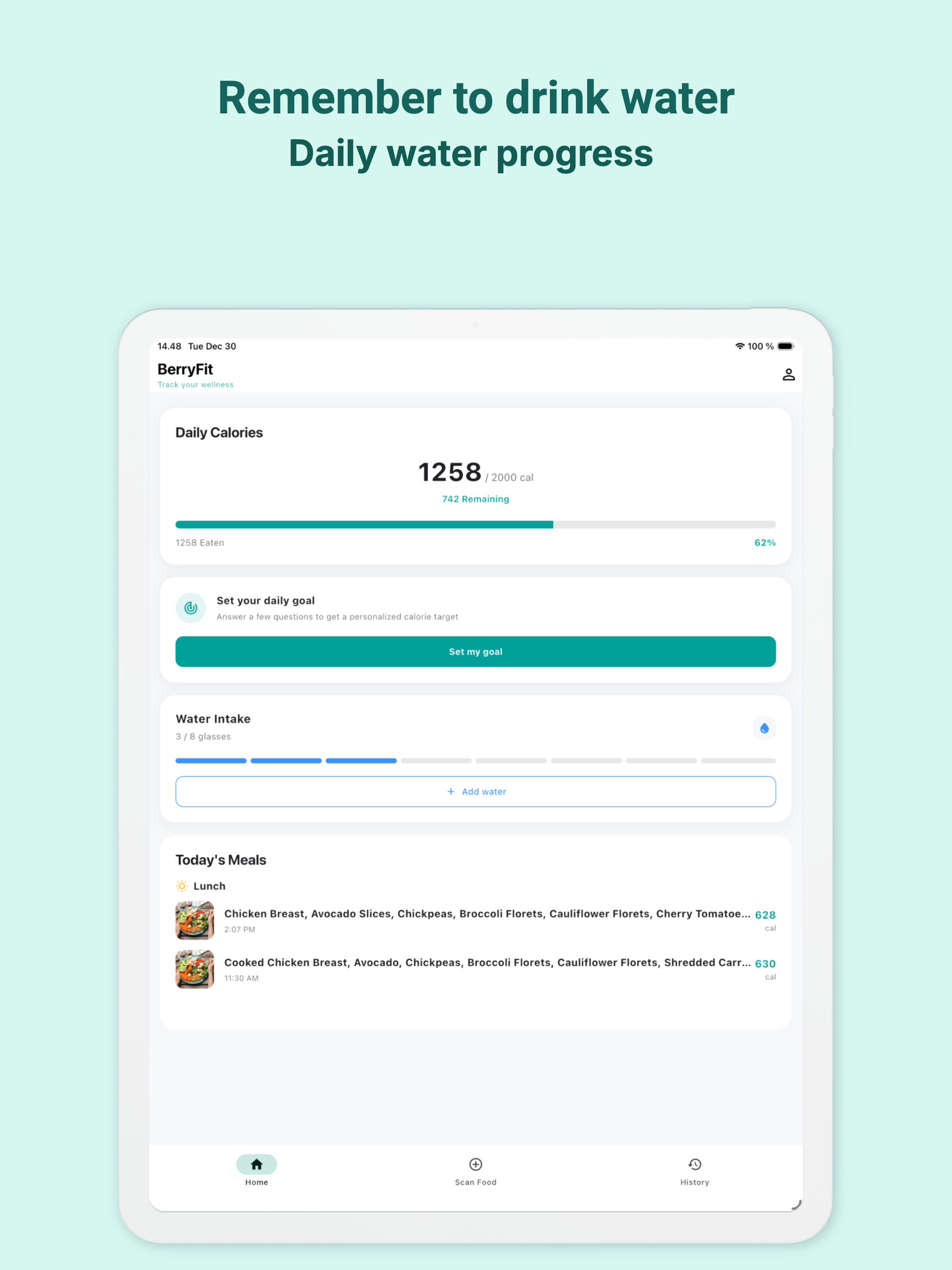 BerryFit - AI Food & Calories