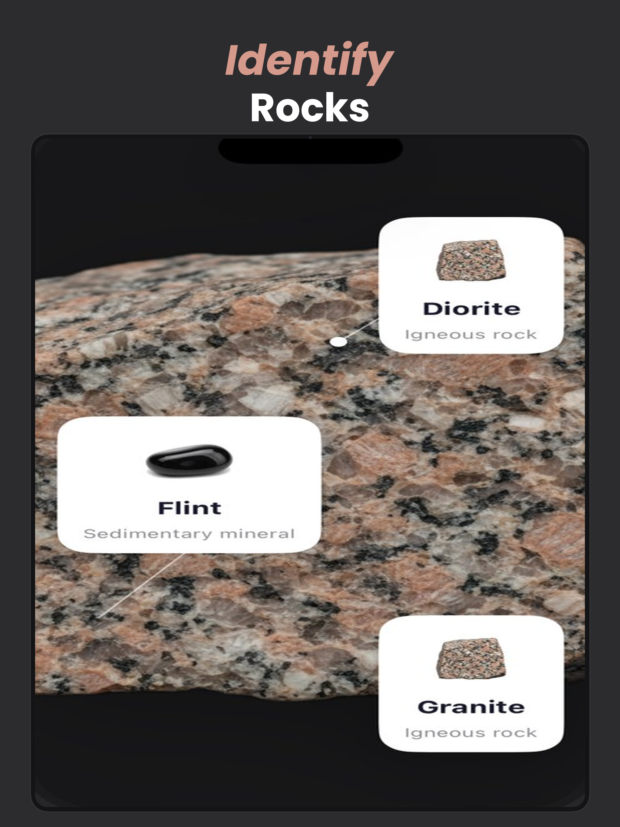 RockAI Identifier screenshot 9