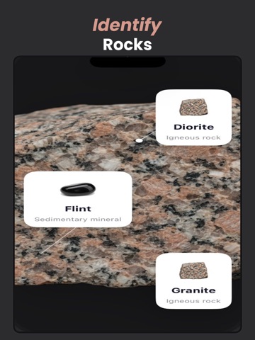 RockAI Identifier iPad screenshot