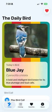 Daily Birdy screenshot