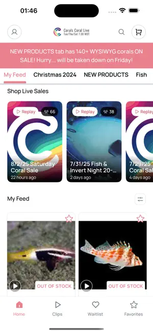 Corals Coral Live screenshot 2