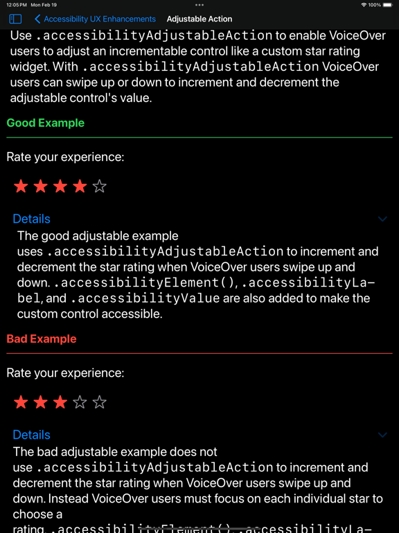 Accessibility Techniques iPad screenshot 4 - Developer Tools app