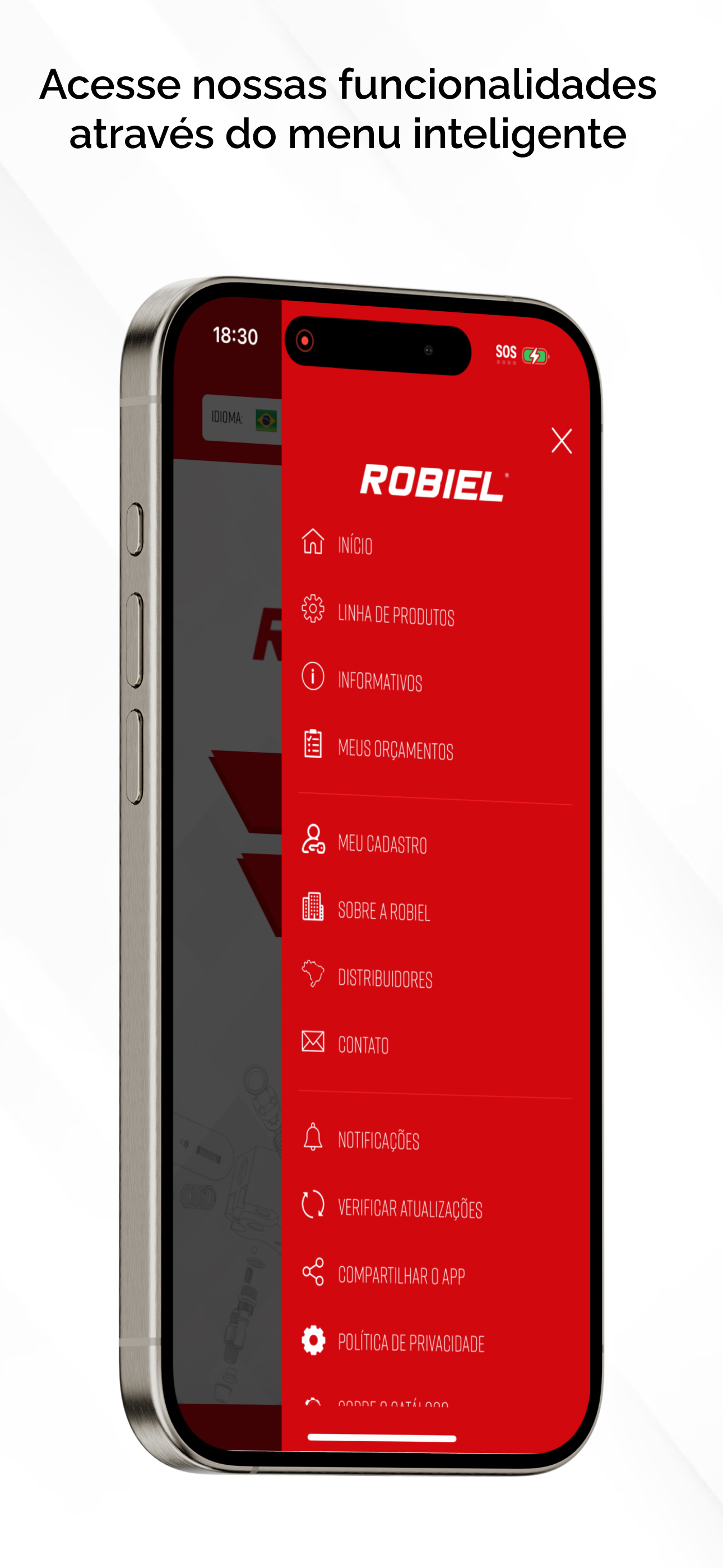 Robiel Injeção Diesel