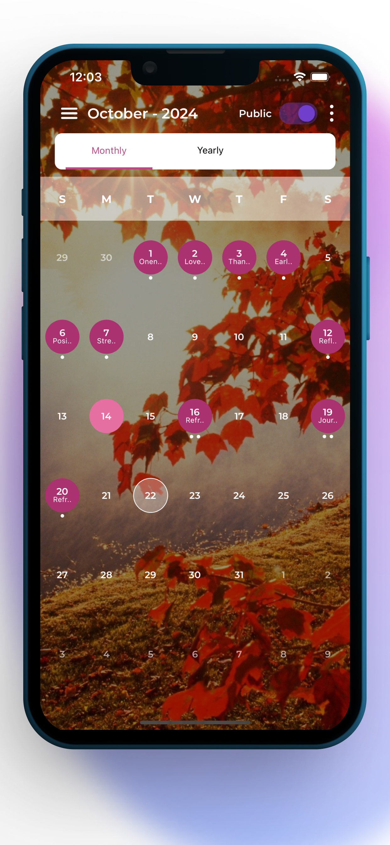 Reiki Calendar screenshot 4