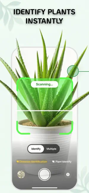 Plant Identifier - Plantfy screenshot 1