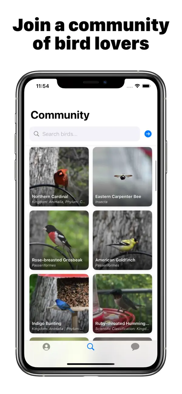 #2. Bird Identifier (iOS) Podle: Kawaii