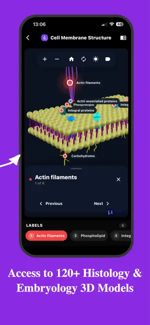 Microlab-Histology Slides & AI screenshot 3
