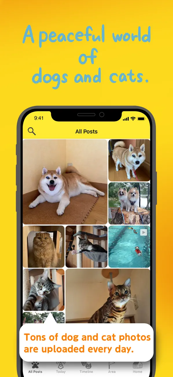 Screenshot #1 pour Dokonoko - Dogs&Cats Photo App