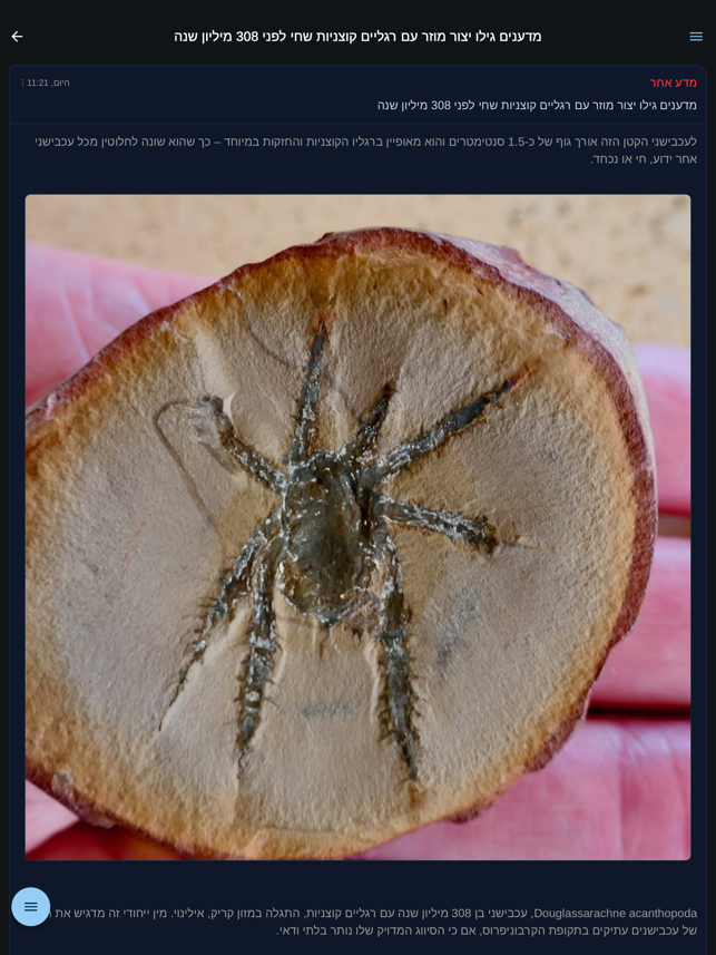 Rotter.net תמונות מסך