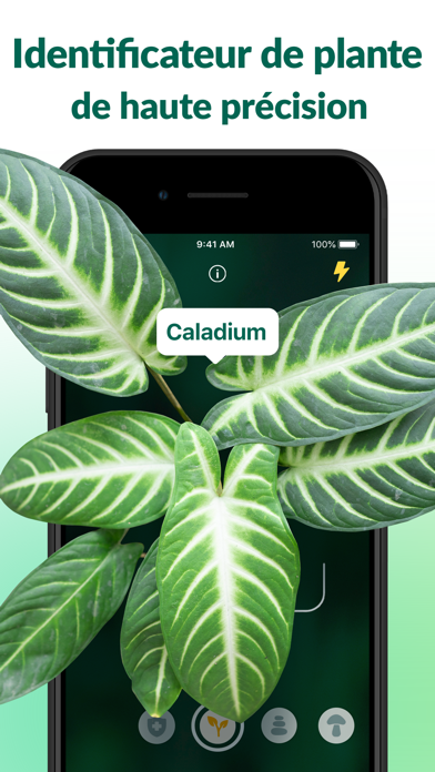 Screenshot #1 pour Plantum - Reconnaitre plantes