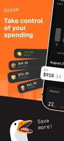 Manual Expense Tracker - Goose Screenshot 1 of 9