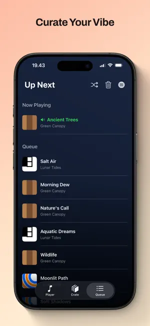Spinyl - Vinyl Music Player screenshot 3