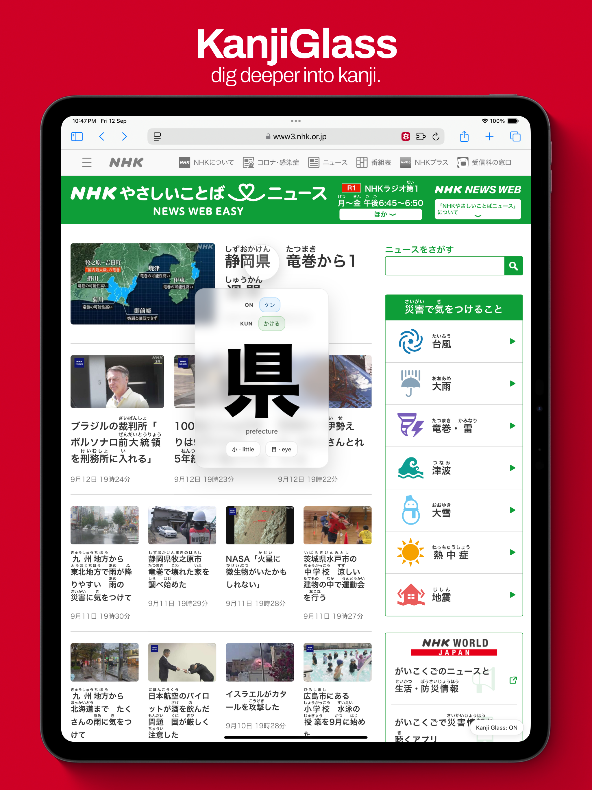 KanjiGlass - Fast Kanji Lookup screenshot 7