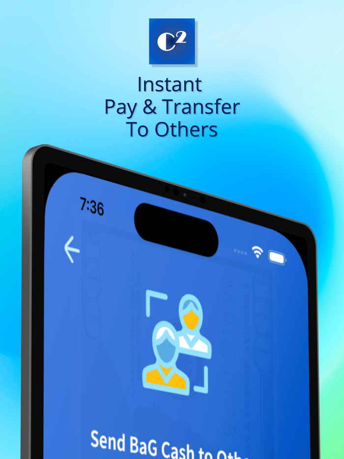 VANSi - Cash Advance