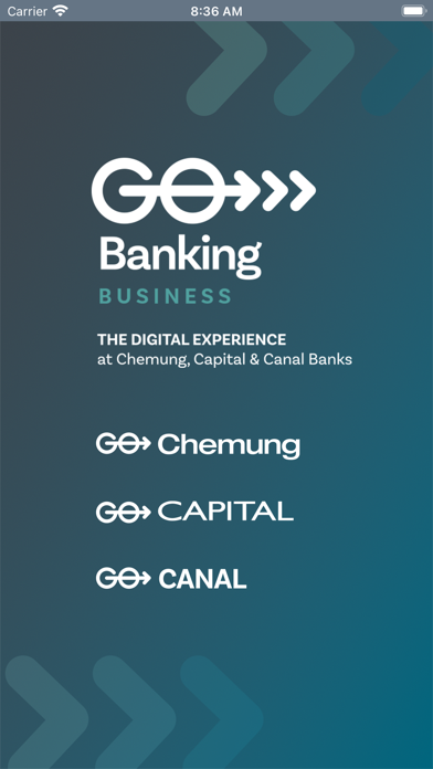 Chemung Canal Capital Business Screenshot