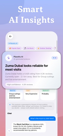 Placevu screenshot
