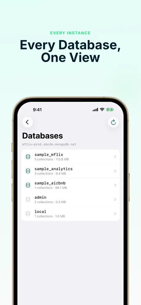 MongoDB Client screenshot 3