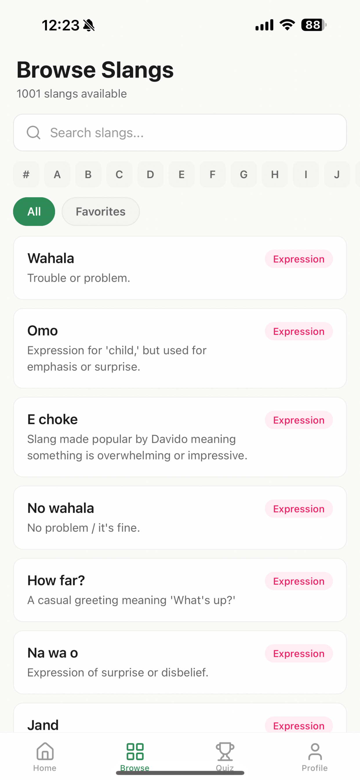 Naija Slang