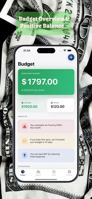 Calm Budget Pro screenshot 4