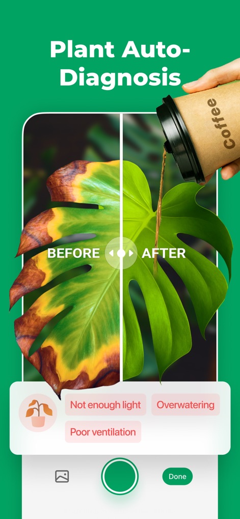 PictureThis - Plant Identifier - Health Diagnosis