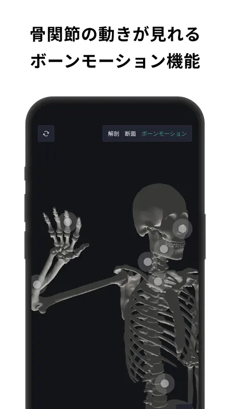 チームラボボディ 人体の解剖学 筋肉 解剖 骨格 3d模型 screenshot 3 of 7
