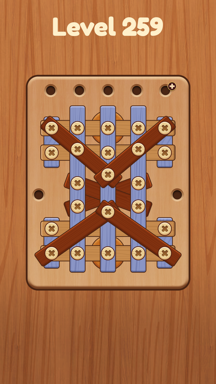 Nuts  Bolts Wood Puzzle