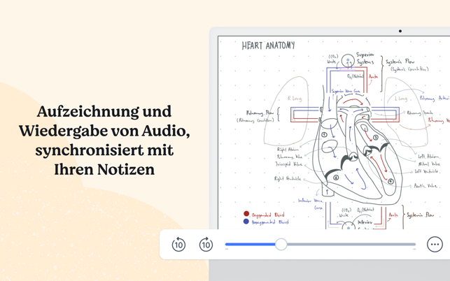 ‎Notability: Notizen, PDF Screenshot