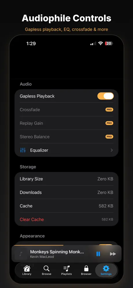 LudyAmp 应用截图