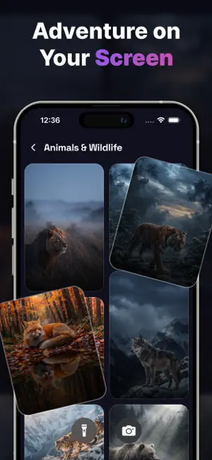 Live 4k WallPapers for iPhone screenshot 3