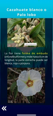 Naturaleza Aumentada screenshot
