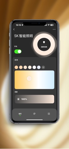 智能照明SK iPhone screenshot