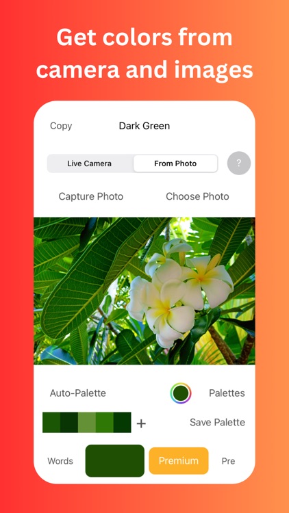 Color Identifier screenshot-4