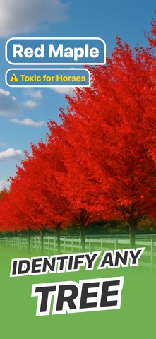 Tree Identifier - Wood & Leaf screenshot