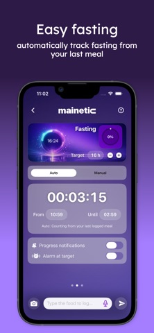 mainetic screenshot