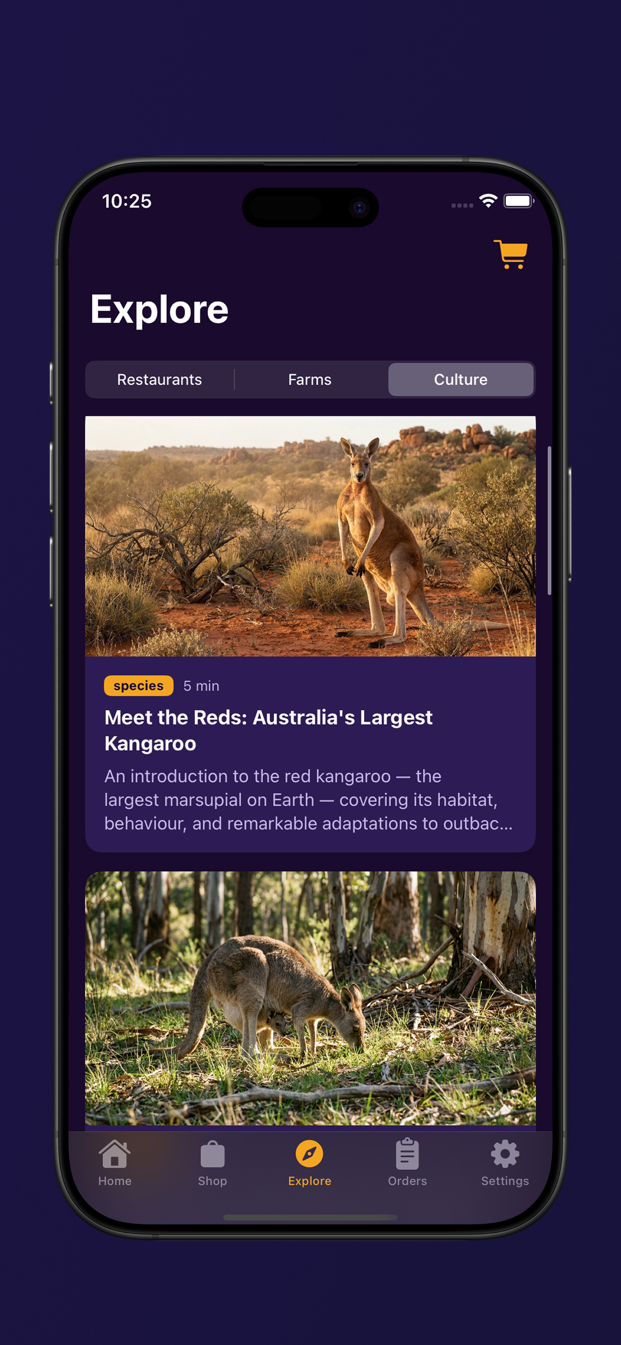 Roo-ef screenshot 6