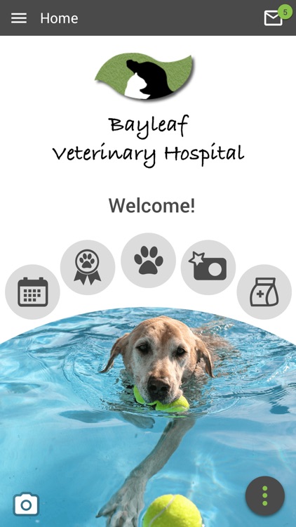 Bayleaf Vet