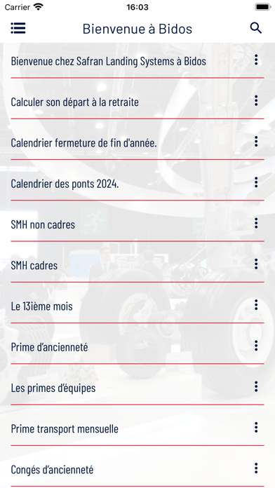 FO SAFRAN LS BIDOS Screenshot