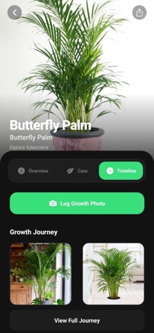 PlantSaga screenshot