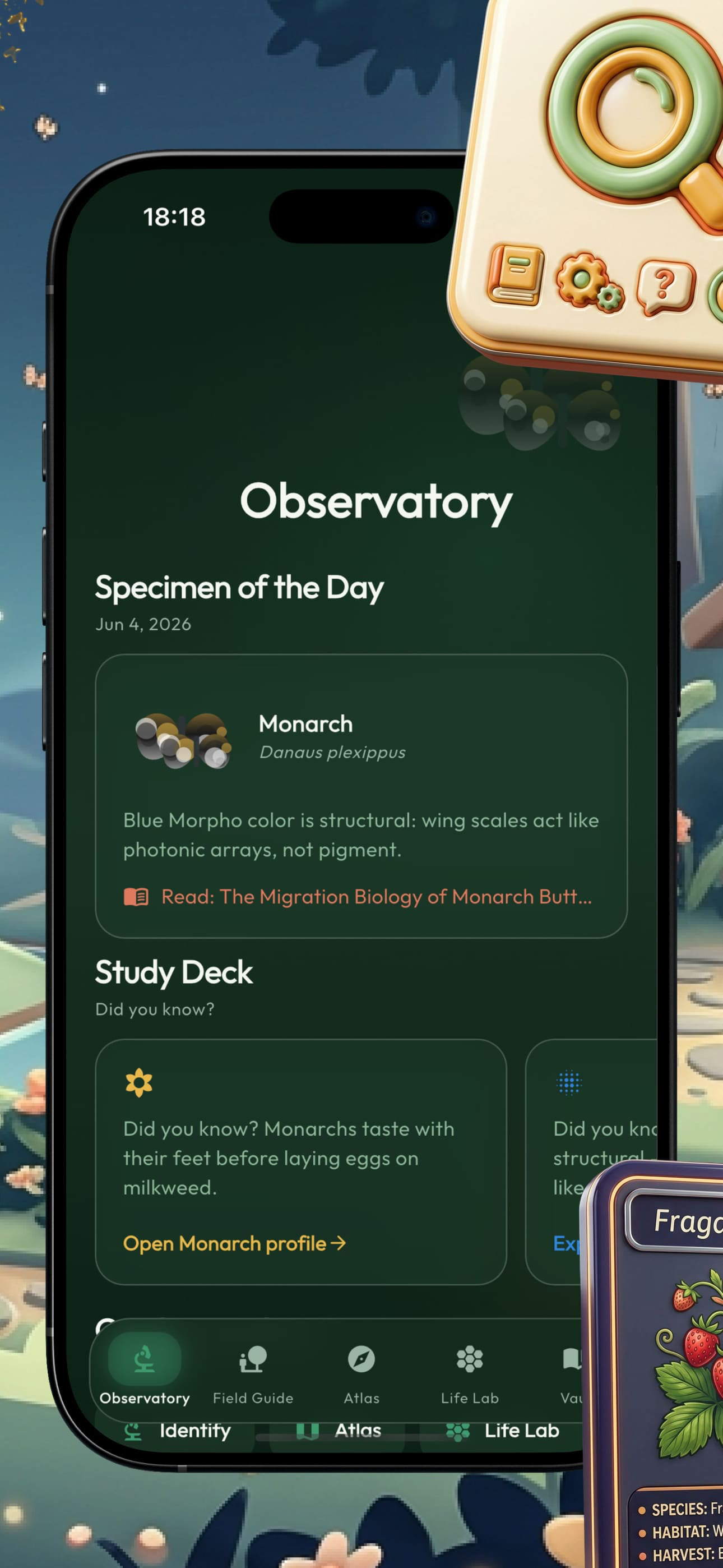 Butterfly Hunters screenshot 4