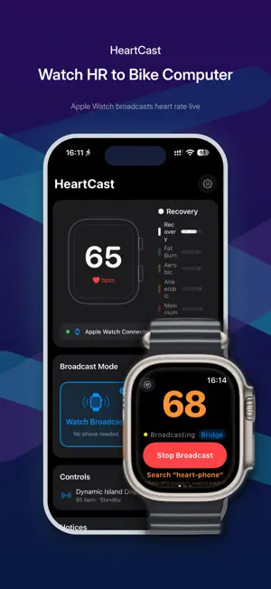 HeartCast screenshot 1