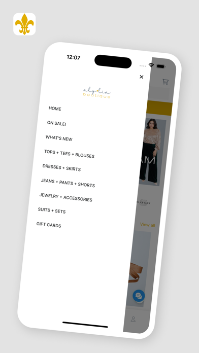 Aly + Lia Boutique Screenshot