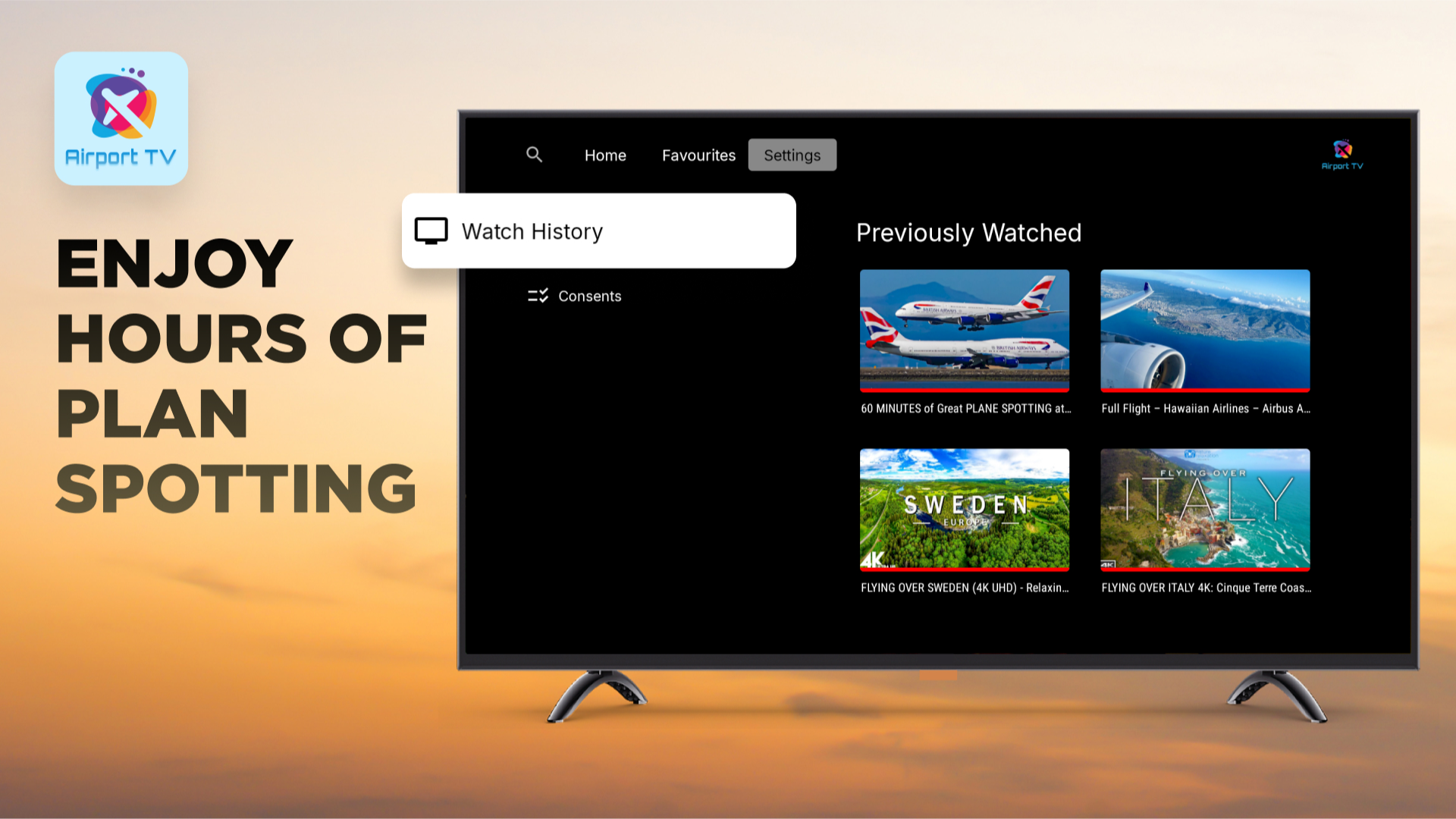 Airport TV screenshot 3