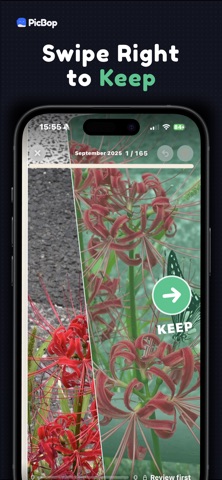 Camera Roll Cleaner - PicBop screenshot