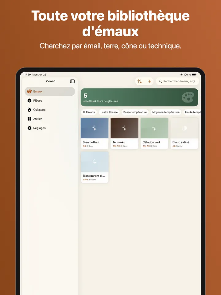 Cone6 sur iPad : capture d’écran 2 sur 8