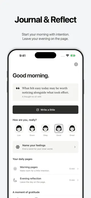Mood Tracker & Journal | Still screenshot 2